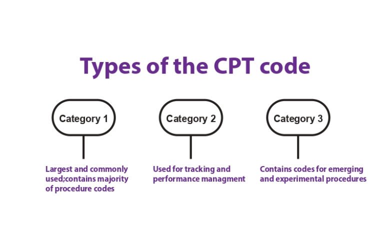 Complete Cpt Code List Complete CPT Codes List – Medical Billing Guide 2025 | RCM Nexus LLC
